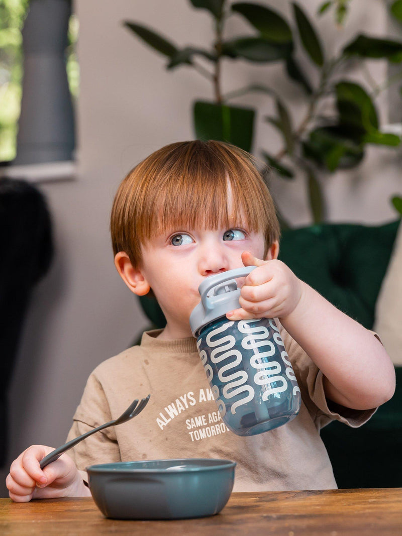 Vital Baby sippy straw cup Natural Sky 350ml (British brand)