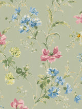John Lewis Poppy Meadow Watercolour Floral Wallpaper- Buy online at McGrocer