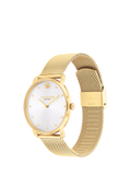 Coach Elliot women's watch white dial gold mesh bracelet, UK version