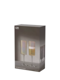 LSA International iridescent champagne flutes set of 2 (British brand)