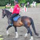Buyagift horse riding gift experience voucher - British product