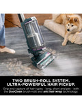 Shark PowerDetect upright vacuum Dark Teal - British product