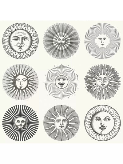 John Lewis Cole & Son Soli Wallpaper 52cm x 10cm- Buy online at McGrocer