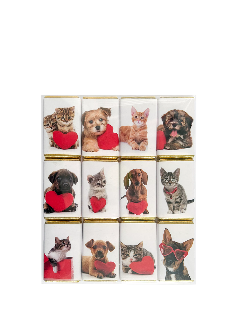 House of Dorchester Dog & Cat Valentine's Milk Chocolate Slims, Pack of 12, 120g