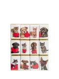 House of Dorchester Dog & Cat Valentine's Milk Chocolate Slims, Pack of 12, 120g