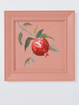 John Lewis John Lewis Kitchen Art Pomegranate Hand Painted Wall Art Pink 30 x 30cm- Buy online at McGrocer