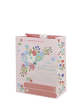 Disney Princess birthday gift bag medium (British brand)