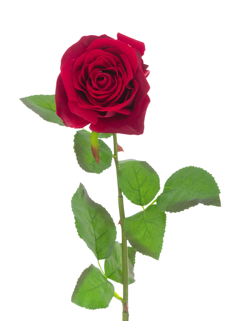 Floralsilk artificial velvet rose 71cm red (British brand)