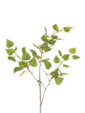 Floralsilk artificial birch leaves spray green 99cm, UK version