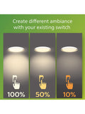 Philips SceneSwitch ceiling light 10W white 32cm (British brand)