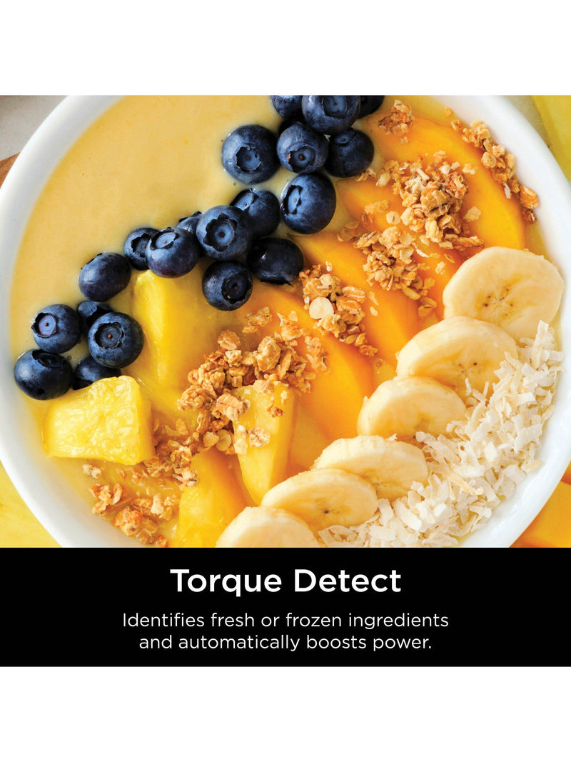 Ninja Detect Blender black 1.9L, UK version