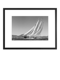 Brookpace Lascelles Creole framed print 45x35cm (British brand)