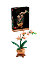 John Lewis LEGO Botanicals Mini Orchid Faux Plant Set for Adults- Buy online at McGrocer