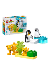 John Lewis LEGO DUPLO Wild Animal Families: Penguins & Lions Building Toy Set- Buy online at McGrocer