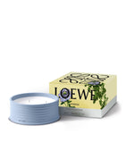 LOEWE verbena outdoor candle, UK version