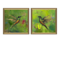 John Lewis framed print set Nature's Realm I green 55x55cm, imported from the UK