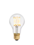 tala LED globe bulb 6W E27, UK version
