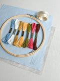 MakeBox & Co 30 Days of Spring Embroidery Kit (British brand)