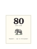 Pigment 80th birthday card Age Is Irrelephant, imported from the UK