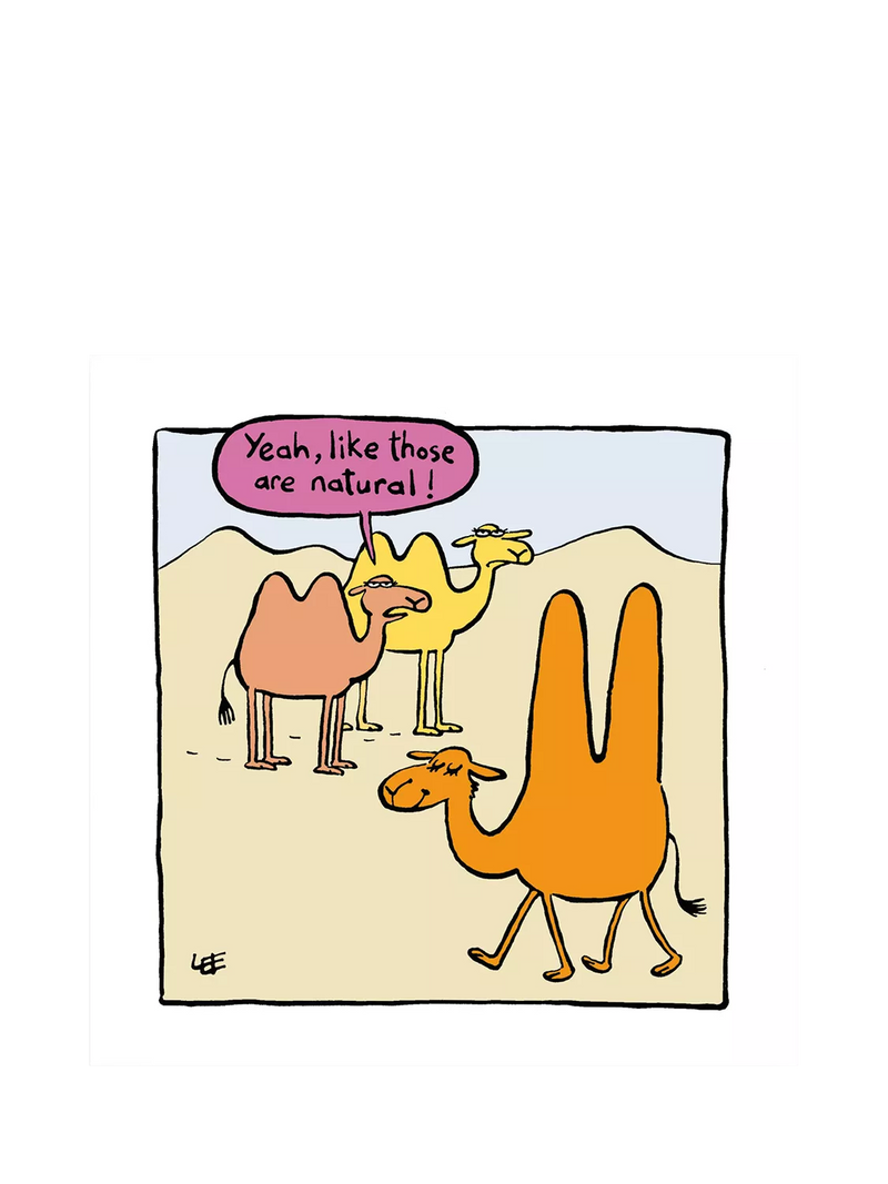Woodmansterne Camel Large Humps greeting card, UK version