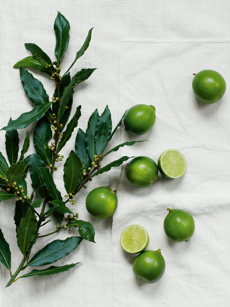 The White Company Lime & Bay luxury gift set, imported from the UK