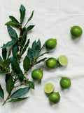 The White Company Lime & Bay luxury gift set, imported from the UK
