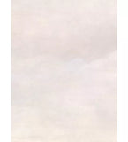 Cole & Son Japanese Chinoiseri wallpaper 1.4m width, imported from the UK