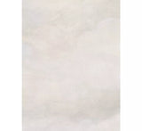 Cole & Son Japanese Chinoiseri Wallpaper - Sand