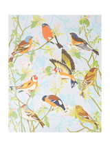 John Lewis Natural History Museum Garden Birds Paint by Numbers Kit- Buy online at McGrocer