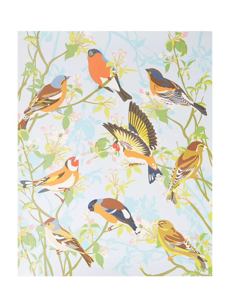 Natural History Museum Garden Birds paint by numbers kit - British product