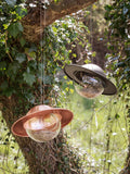 Eva Solo Saturn bird feeder with copper canopy and glass orb, imported from the UK