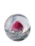 Caithness handmade glass Highland Reel paperweight, UK version