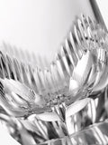 Waterford Crystal clear cut glass highball, 430ml (British brand)