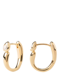 PDPAOLA gold plated cubic zirconia hoop earrings, UK version