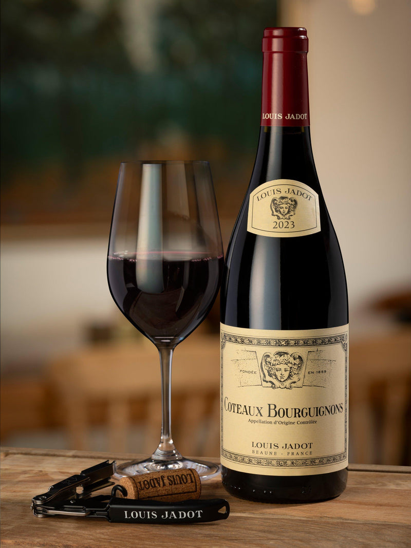Maison Louis Jadot Coteaux Bourguignons red wine 75cl, UK version