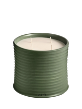 John Lewis LOEWE Scent of Marihuana Scented Candle- Buy online at McGrocer