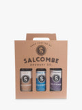 Salcombe Brewery Co. beer pack with 3x500ml ales (British brand)