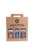 Salcombe Brewery Co. beer pack with 3x500ml ales (British brand)