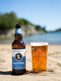 Salcombe Brewery Co. beer pack with 3x500ml ales (British brand)