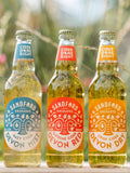 Sandford Orchards Session Cider Gift Pack 3x500ml (British brand)