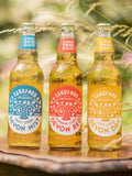 Sandford Orchards Session Cider Gift Pack 3x500ml (British brand)
