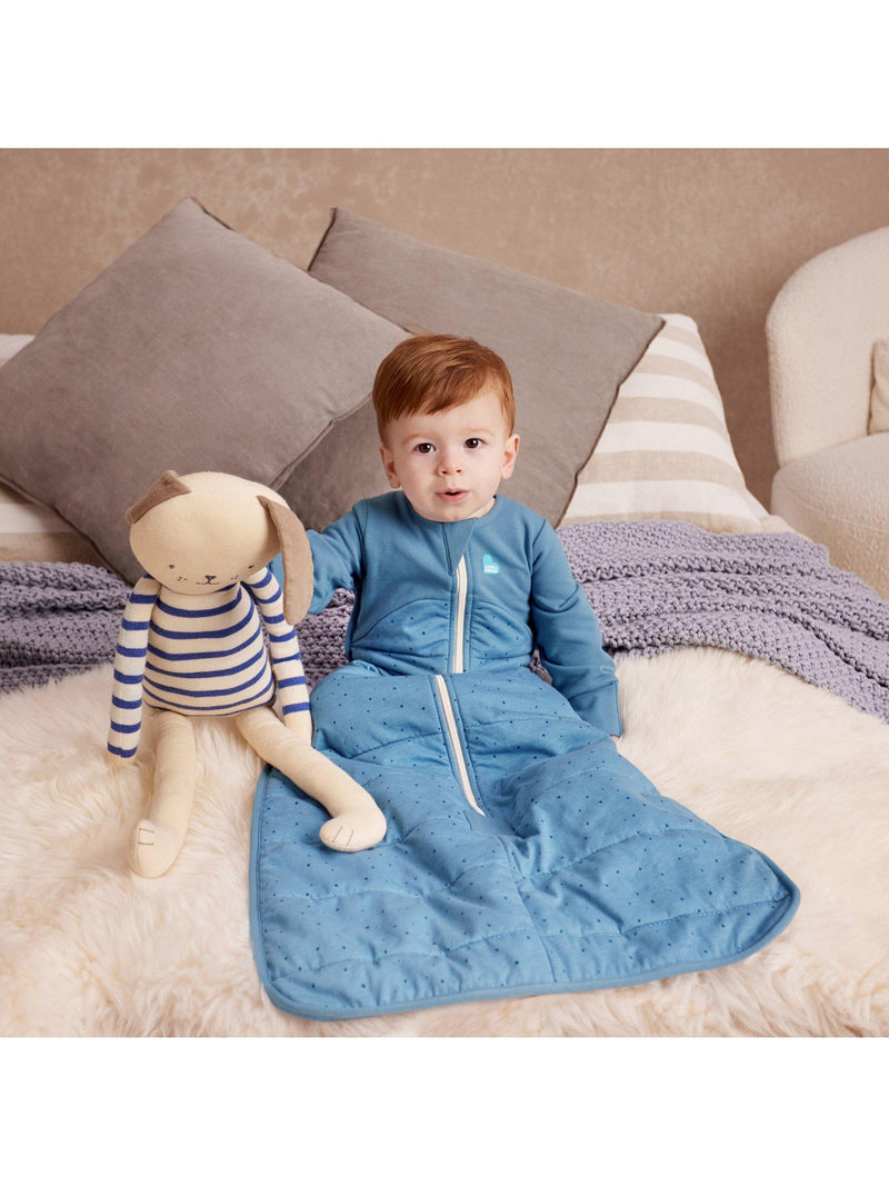 Love to Dream Baby Sleeping Bag 2.5 Tog, UK version