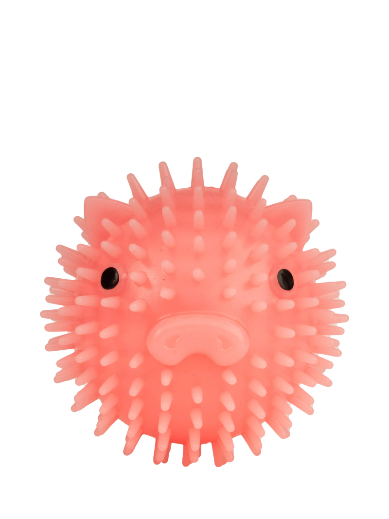 Kikkerland Kobe Piggy Dog Ball pink bacon-scented squeaky toy, imported from the UK