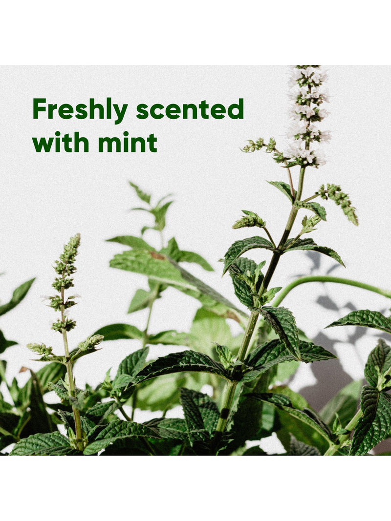 Beco Pets mint scented dog poop bags pack of 270 - British product