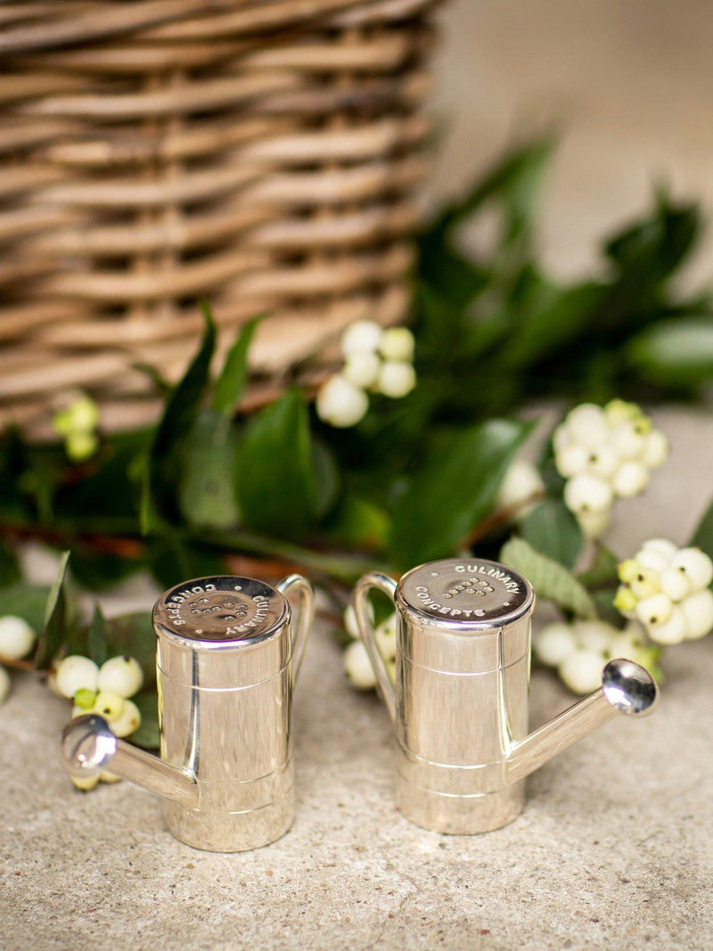 Culinary Concepts watering can salt and pepper set, imported from the UK
