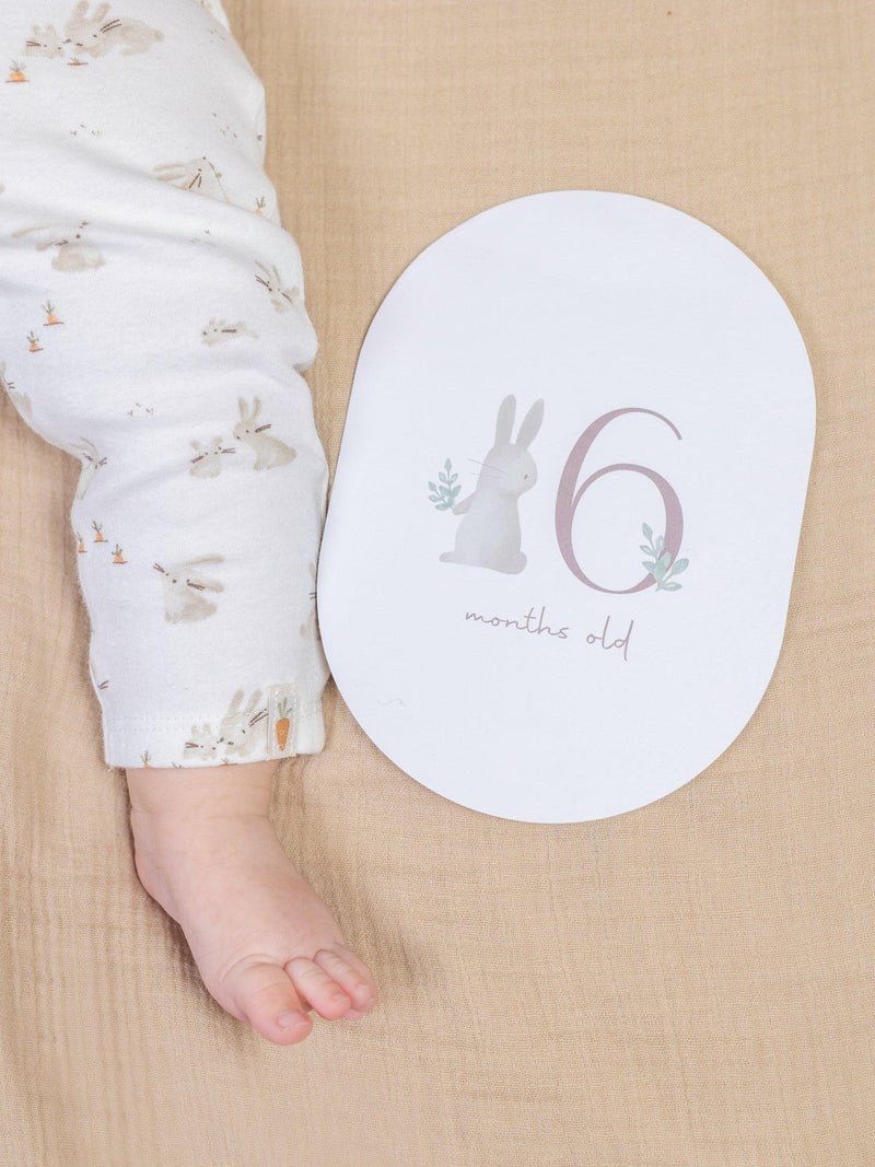 Little Dutch Baby Milestone Cards 21 pc, UK version