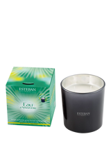 John Lewis Esteban Eau d'Amazonie 3 Wick Scented Candle 450g- Buy online at McGrocer
