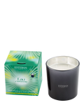 Esteban Eau d'Amazonie 3 Wick Scented Candle 450g - British product