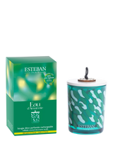 John Lewis Esteban Eau d'Amazonie Scented Candle 150g- Buy online at McGrocer