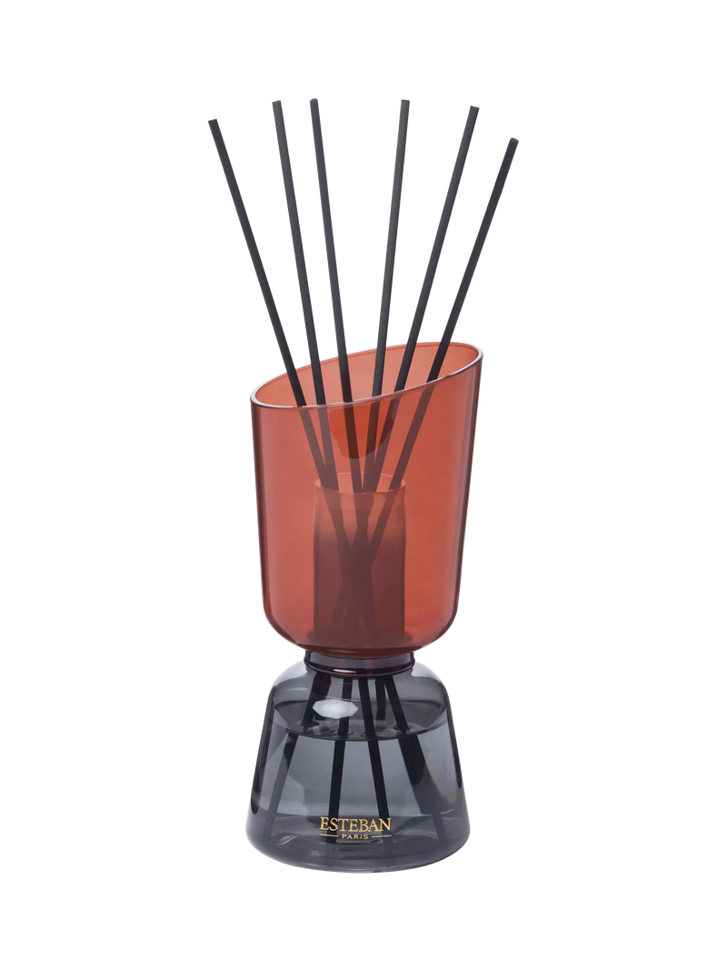 Esteban Teck & Tonka reed diffuser 250ml - British product